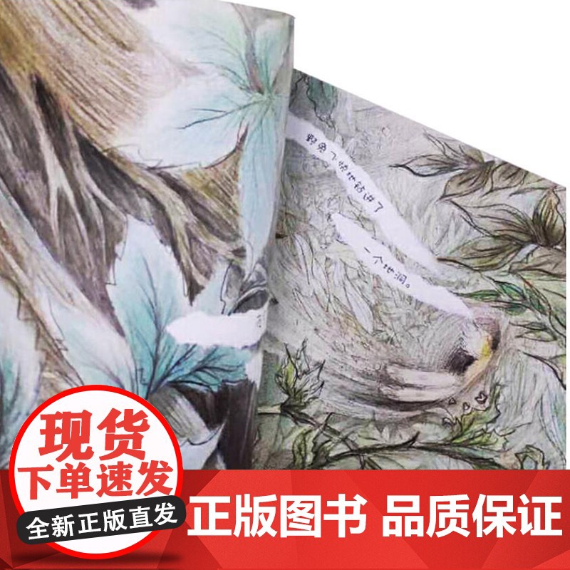 月光森林海豚绘本花园硬壳精装图画书适合3岁以上亲子共读正版童书高清大图