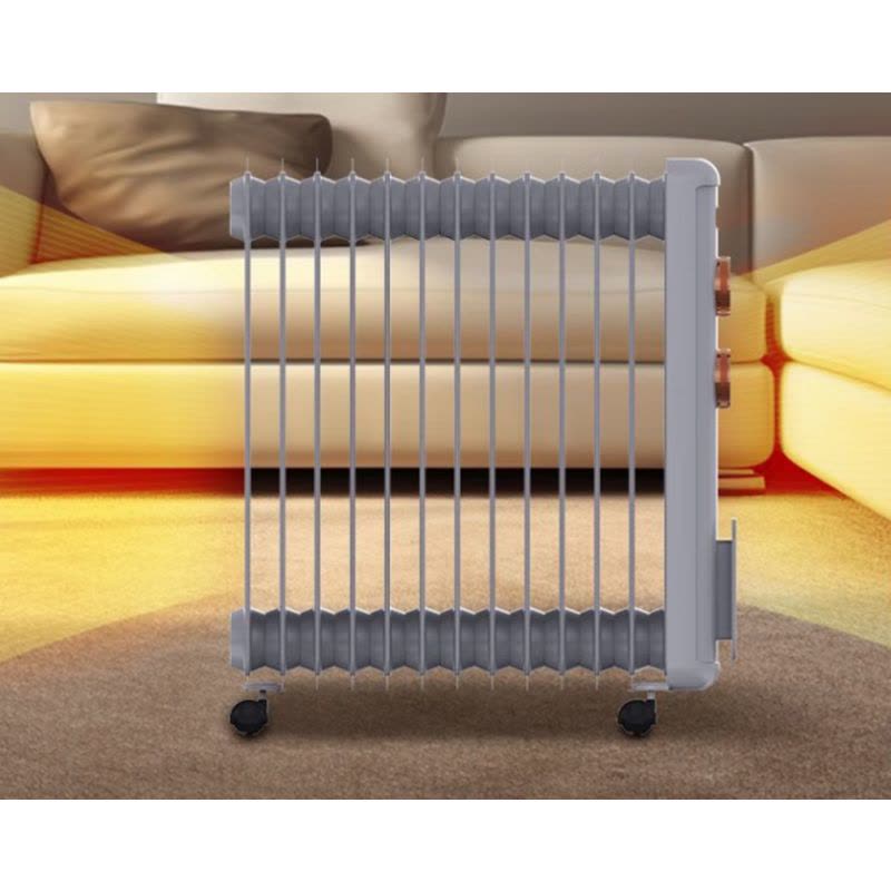 澳柯玛(AUCMA) 电热油汀NY22H33-13图片