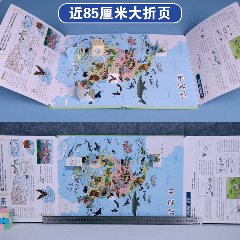 [地图翻翻书]地图上的动物 [正版]地图上的动物 3d立体翻翻书中国儿童百科全书小学生地理科普类书籍小学幼儿启蒙早教书爬高清大图