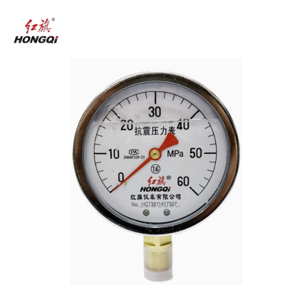 红旗 耐震压力表定制检测款 YTN100 0-60MPA 块