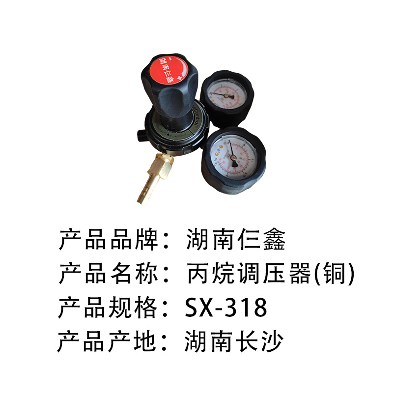 仨鑫 丙烷调压器(铜) 调压配件 SX-318 /套高清大图