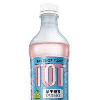 农夫山泉 TOT柚子绿茶含气风味饮品380ml*15瓶