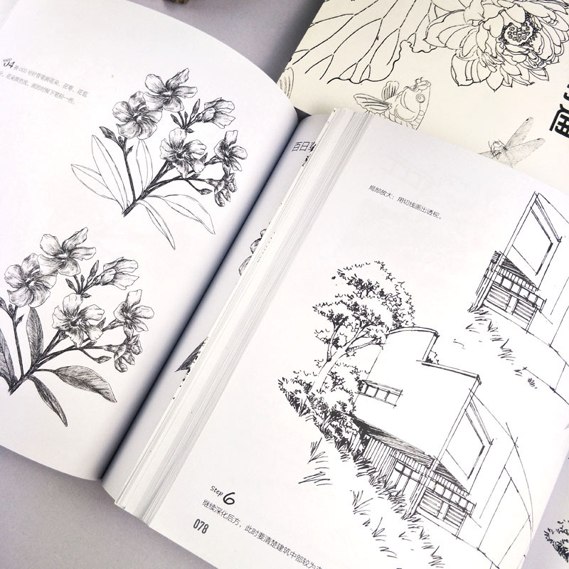 [正版]全三册 黑白风景绘+黑白百花绘+白描技法铅笔画 钢笔画表现技法基础教程从入门到精通 零基础学绘画速写线描画初学