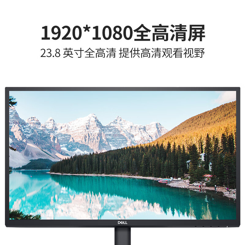 戴尔(DELL)E2420H 23.8英寸黑色显示器IPS高清屏低蓝光VGA+DP