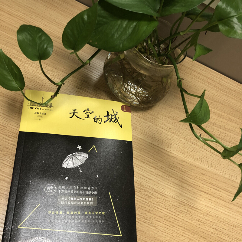 [醉染正版]天空的城1 原名《我的26岁女房客》17K小说网签约作家 **大坦克科比/著 虐心情感类书籍 纯爱情感爱情小高清大图
