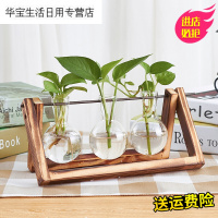 帝梦香创意花瓶容器创意玻璃花客厅透明植物水培摆件清新办公桌田园悬挂花艺北欧花瓶花插