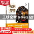 萌宠动物