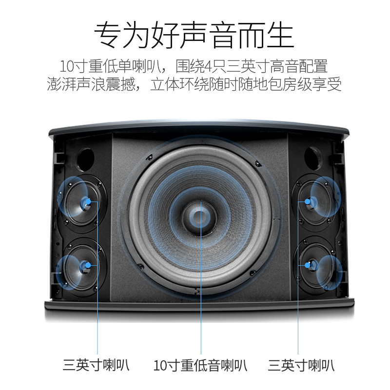 山水SP2-10家庭ktv音响套装工程单专用勿拍