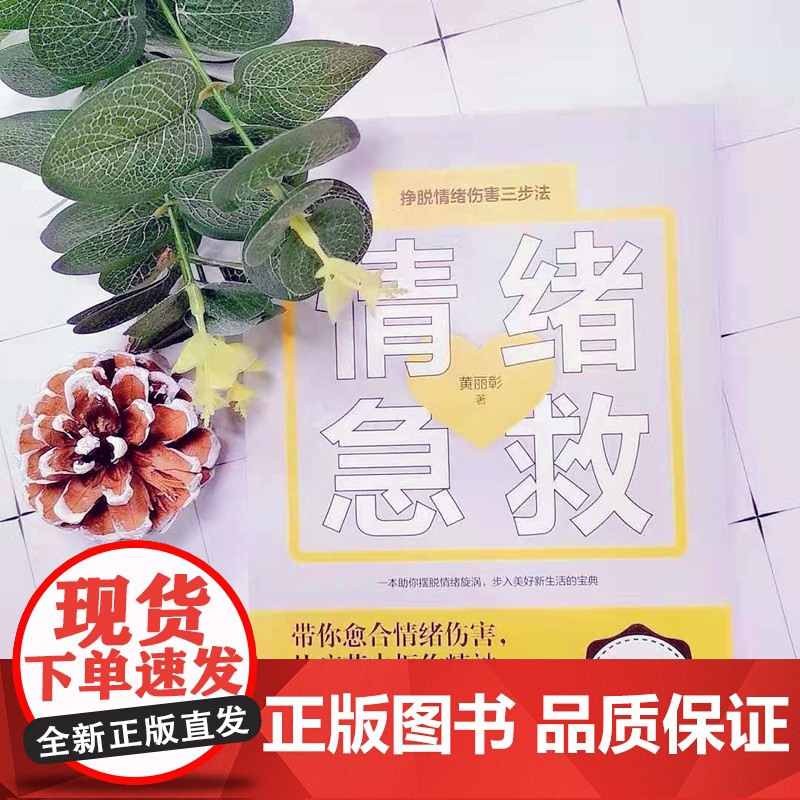 情绪急救:挣脱情绪伤害三步法高清大图