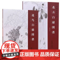 【2册】花鸟白描图谱+花卉白描图谱 中国国画工笔画底稿白描画稿画谱中国画素材库书籍