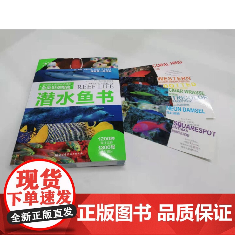 水下摄影 鱼类识别潜水爱好者喜爱的珊瑚礁鱼类识别指南书 潜水爱好者几乎人手一本的“鱼书 告别鱼盲 变身鱼类专家高清大图