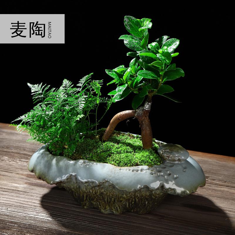 美帮汇创禅意新中式哥窑陶瓷花盆小叶榕树盆栽透气花器家用室内净化空气高清大图