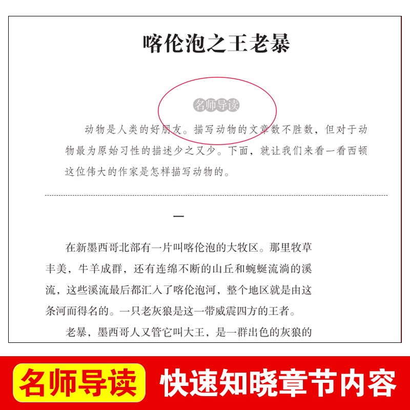 西顿动物故事集 [正版]西顿动物故事集 西顿动物记 西顿动物故事集动物小说全集三四五六年级课外书必读小学生课外阅读书籍儿