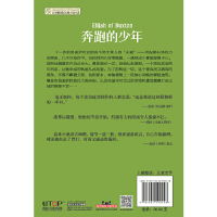 长青藤国际大奖小说·第七辑：奔跑的少年