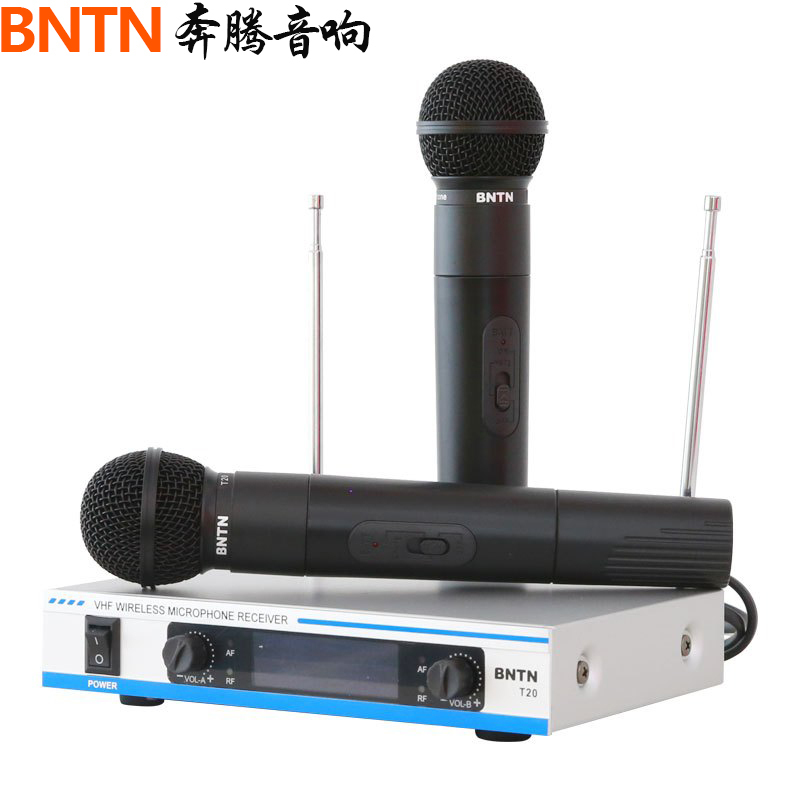 奔腾(BNTN)音响 音箱 家庭影院 无线麦 话筒 一拖二 KTV卡拉OK 家用 会议无线手持话筒 T20