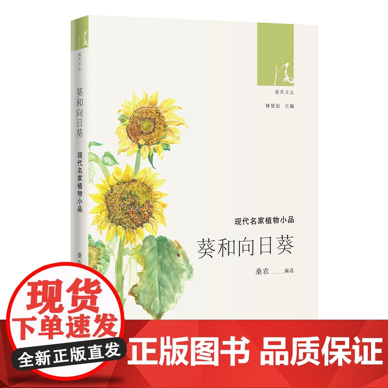 葵和向日葵高清大图