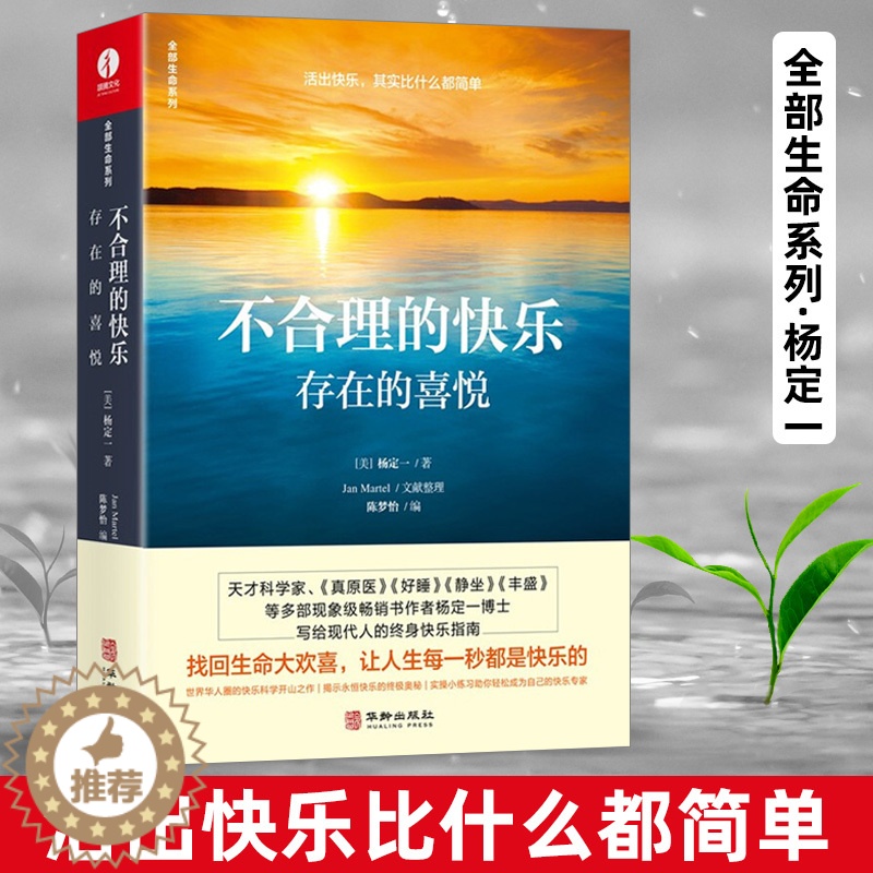 【醉染正版】杨定一不合理的快乐 存在的喜悦 时间的陷阱 丰盛等全部的你系列之一 正能量文学书籍 心理励志成长青春励志心
