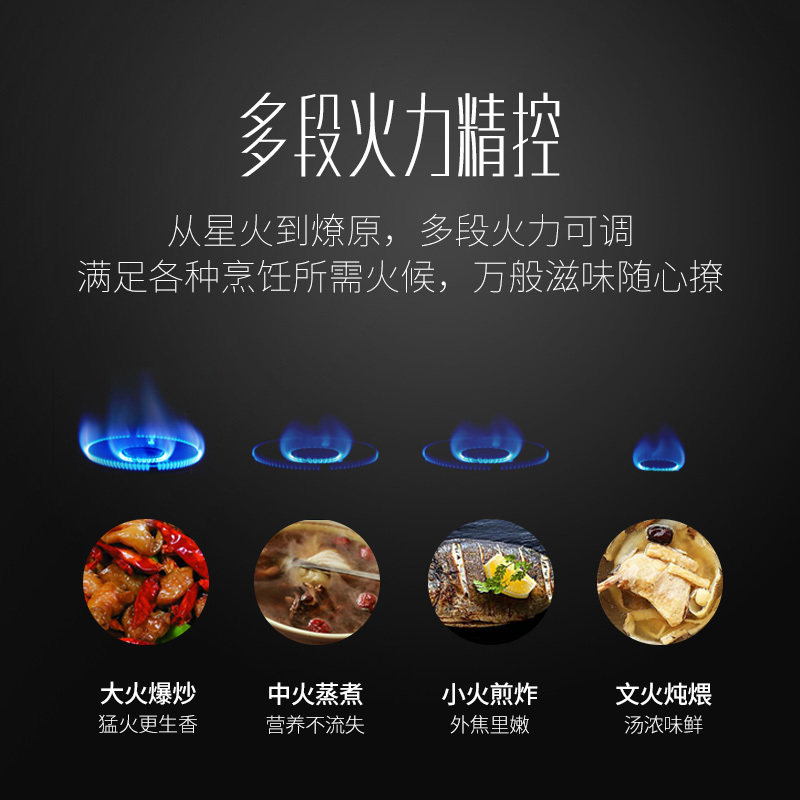 帅康(sacon)68G燃气灶双灶台式嵌入式煤气灶5.2kW大火力家用猛火不锈钢以旧换新打火灶炉具炉灶单灶煤气炉天然气