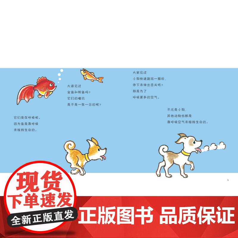 加古里子的身体科学绘本 全10册 儿童绘本 科学绘本 身体 健康 北京科学技术高清大图