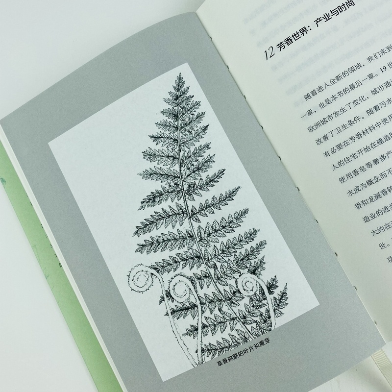 [正版]芳香世界 香味的博物志 社会科学文献出版社 (美)埃莉斯·弗农·珀尔斯汀 著 译 自然科学总论高清大图