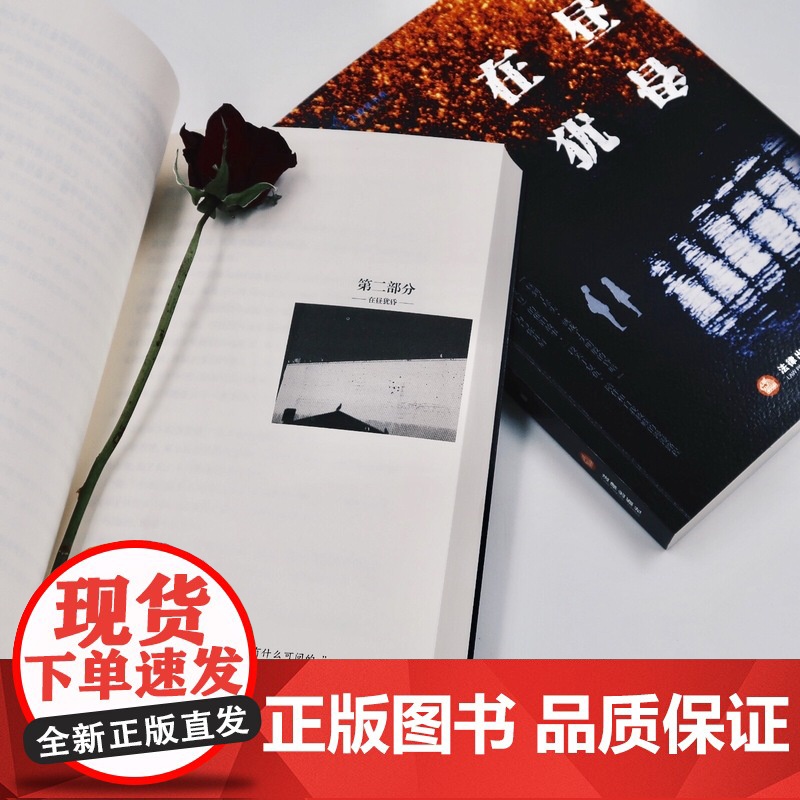 正版 在昼犹昏 盖越 法律出版社 zk高清大图