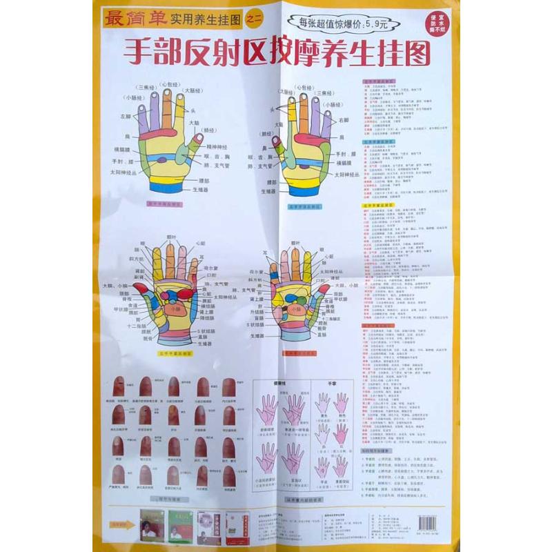 手部反射区按摩挂图 吴若石, 郑英吉,吴广恩 等 著 著 生活 文轩网