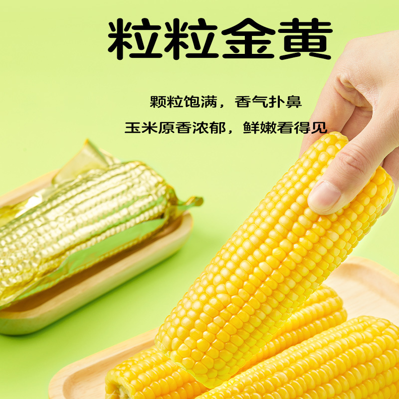 十月稻田黄糯玉米1.76kg[220g*8根]东北玉米棒甜糯低脂新鲜真空装早餐苞米3.52斤高清大图