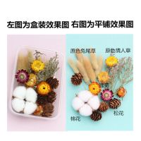 干花真花混合搭配材料盒手工diy制作学生作业装饰微景观 田园+胶水