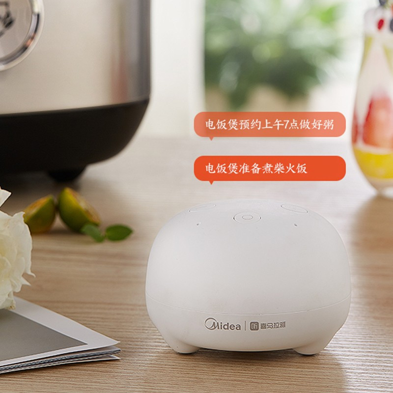 美的(Midea)电饭煲家用4L智能IH多功能大容量钛金电饭锅 银灰色[4L]MB-HS4030