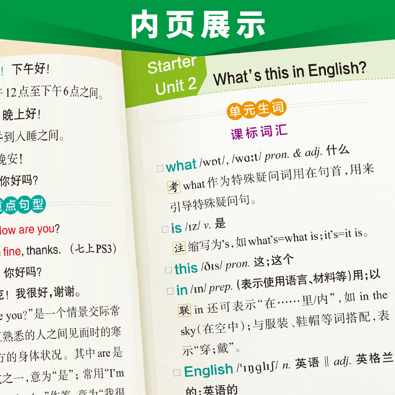 英语作文模板 初中通用 [正版]2024图解速记初中英语基础知识手册RJ人教版单词词汇语法短语句型范文知识点大全七八九年高清大图