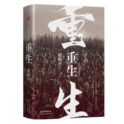 11重生978720115752822