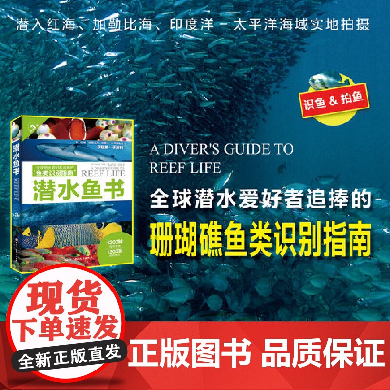 水下摄影 鱼类识别潜水爱好者喜爱的珊瑚礁鱼类识别指南书 潜水爱好者几乎人手一本的“鱼书 告别鱼盲 变身鱼类专家高清大图