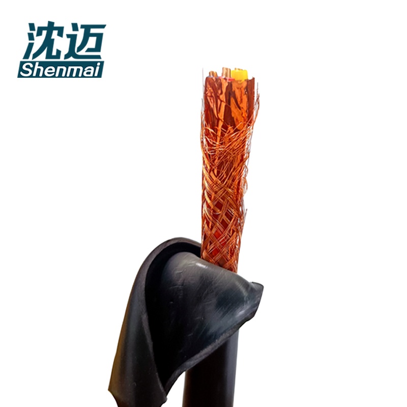 沈迈 铜芯计算机电缆 ZR-DJYVP-1*3*1.5mm² 1米高清大图