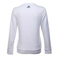 特卖 Adidas阿迪达斯女子休闲运动大LOGO舒适透气卫衣套头衫BS3238 Z