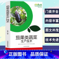 【正版】茄果类蔬菜生产技术农业种植系列读物茄子的优良品种现代化育苗高效益栽培番茄品种与育苗高效益番茄栽培辣椒的品高蔬辣茄