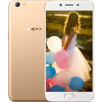 【二手9成新】OPPO R9s Plus 金色 6GB+64GB 全网通4G 双卡双待