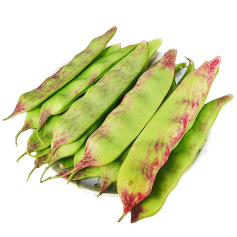 东北油豆角现摘新鲜5斤蔬菜黑龙江一点红油豆角东北特产