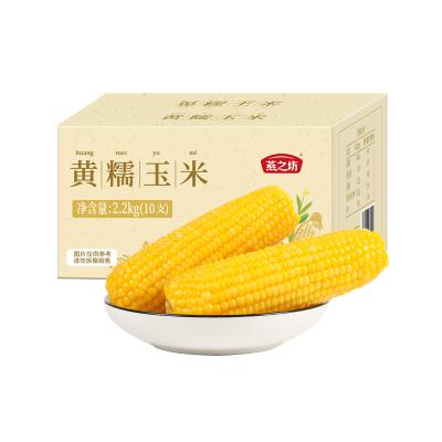 燕之坊 新鲜黄糯东北玉米棒2.2公斤子10只 真空玉米黏玉米代餐主食五谷杂粮健康轻食