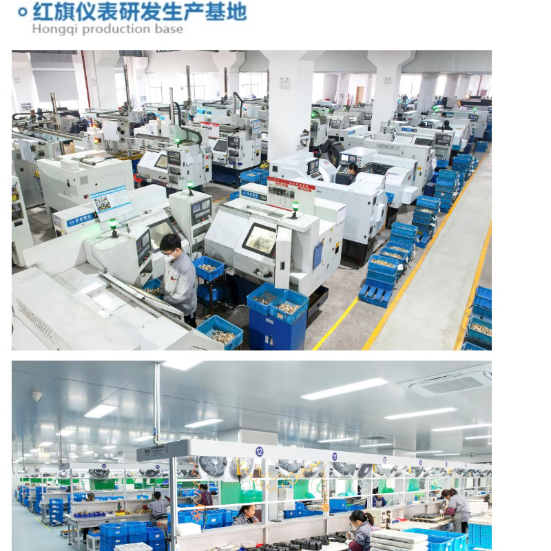 红旗仪表 YQE-213减压器乙炔减压器调压器稳压器压力表高清大图