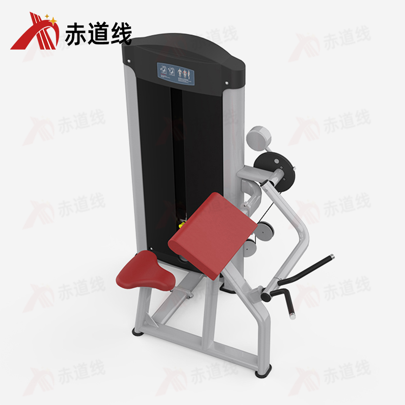 赤道线 二头肌训练器综合训练器 CDX-A523S-BFT3007B高清大图