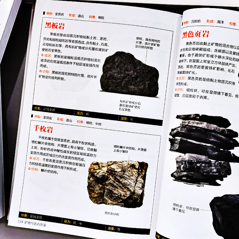 [正版]4册 矿物与岩石图鉴 231种矿物与65种岩石鉴别指南 鸟图鉴 野菜图鉴野花图鉴 收藏爱好者鉴别指南自然科学读高清大图