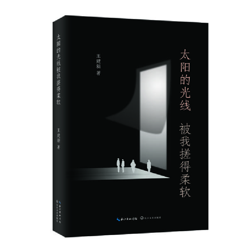 正版新书]太阳的光线被我搓得柔软王建新9787570212538高清大图