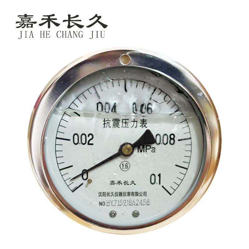 嘉禾长久+耐震压力表轴向带边检测定制型+YTN100ZT+块