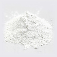波斯 腻子粉 10KG