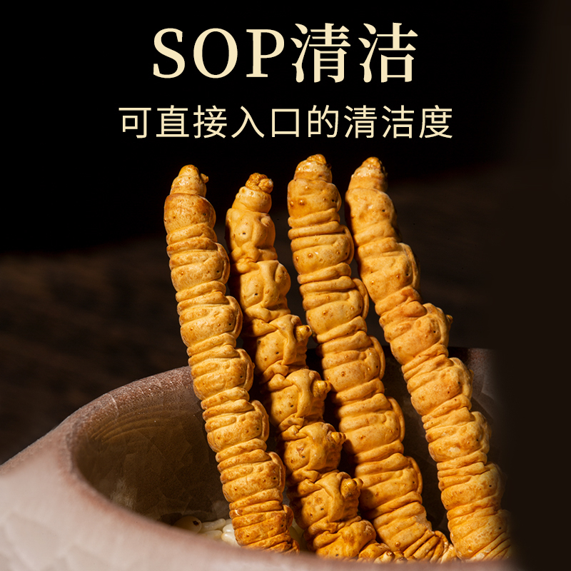 秦仁堂冬虫夏草3根/克 冬虫草正品干货 1克盒装