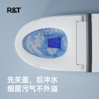 瑞尔特(R&T)智能马桶一体机家用带水箱脚感冲水自动座温调节0水压轻智能坐便器M2A节能版 400坑距