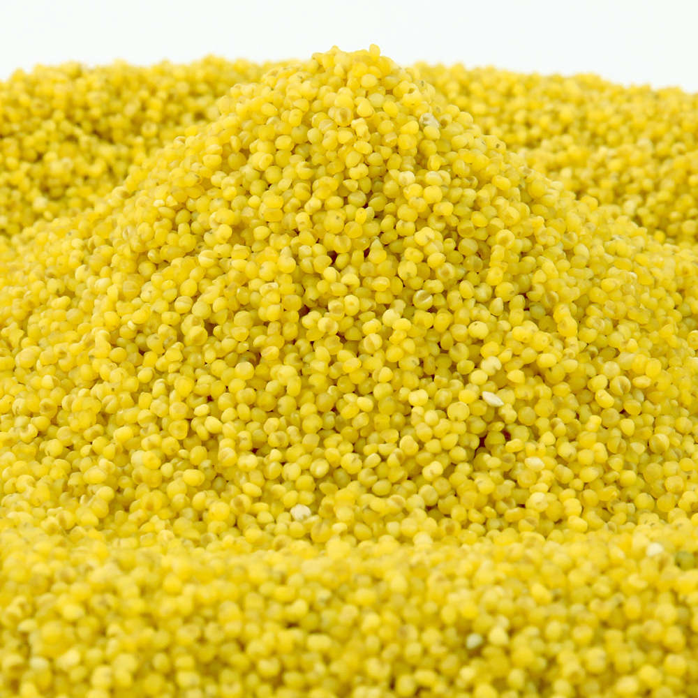 艾谷(LIKECOOK) 山西晋谷沁黄小米900g(88罐)高清大图