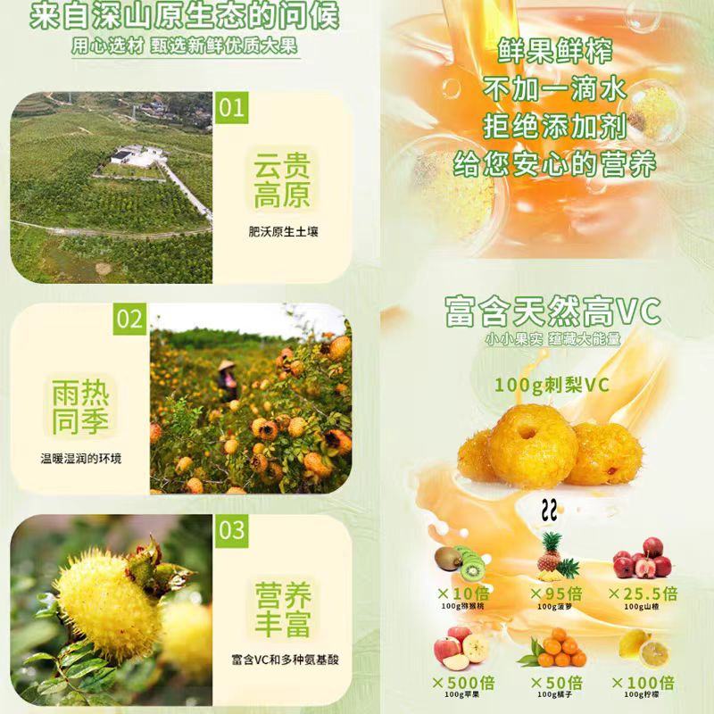 农本物有机刺梨原液0脂肪小瓶400ML(50ml*8瓶)高清大图