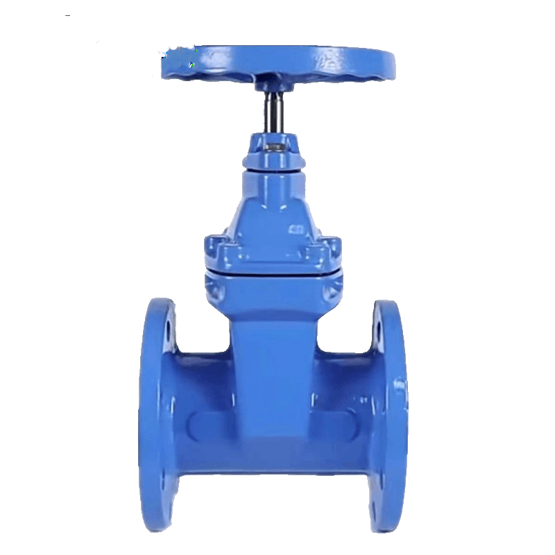 百里才 法兰闸阀 DN80个图片