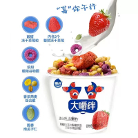 大嚼绊酸奶180g*2杯大嚼绊草莓谷物味 组合搅拌酸奶杯网红早餐